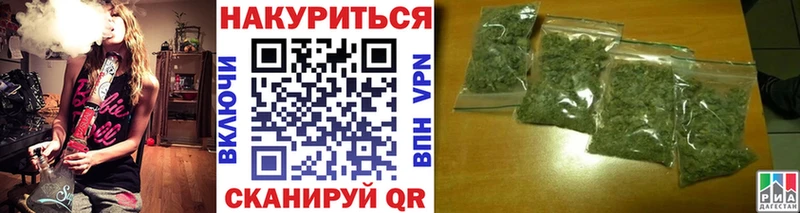 Виды наркотиков купить Салехард Галлюциногенные грибы A PVP МАРИХУАНА ссылка на мегу маркетплейс Кокаин