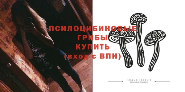 хмурый Переславль-Залесский