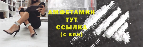 мдпв Дмитров