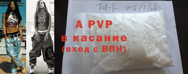крисы Ельня