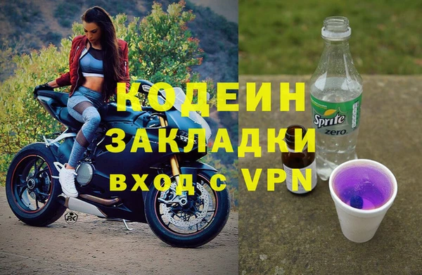 крисы Ельня