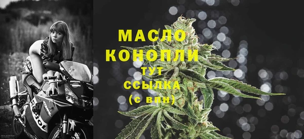 крисы Ельня