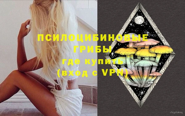 a pvp Осинники